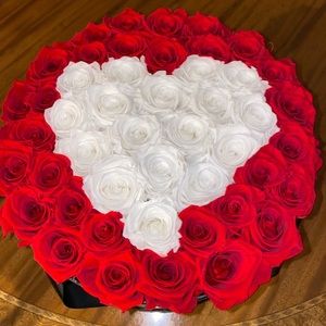 Meet your Posher, Peyton